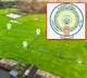 AP Govt Plans To Restart Naksha Land Digital Survey For Property Cards