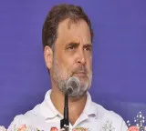 Rahul Gandhi accuses BJP of stealing elections in Bengal, Assam