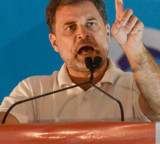 Put petty politics aside: Rahul Gandhi to Cong leaders 'gloating' over Trinamool's loss
