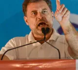 Put petty politics aside: Rahul Gandhi to Cong leaders 'gloating' over Trinamool's loss