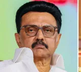Reasons for TVKs win and DMKs defeat in Tamil Nadu election