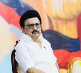 MK Stalin Says DMK Vote Difference with Vijay Party is 352 Percent