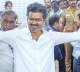 DMK allies reluctant to back Vijay as TVK falls short of majority in Tamil Nadu