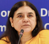 Maneka Gandhi urges Chandrababu to stop animal sacrifices at Ganga Jatara