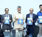 Chandrababu Naidu Focuses on Horticulture Bank Loans