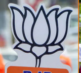 Vijay Actor Tamil Nadu Government Formation BJP Clarifies Role