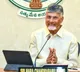Andhra local body polls soon: Chandrababu Naidu