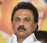 Stalin Leaves Vijay Support Decision to Allies Key Development