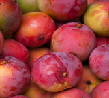 Does Mango Increase Sugar Levels Facts About Diabetes and Mango