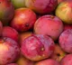 Does Mango Increase Sugar Levels Facts About Diabetes and Mango