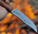Venkatesh Parigi Youth rampage with knife over pigs dispute