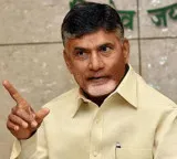 Chandrababu Naidu Directs Collectors on Wealth Creation for Welfare