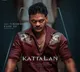 'Pushpa' villain Raj Tirandasu's character in Antony Varghese's 'Kattalan' revealed