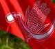 CPI extends unconditional support to Vijay’s TVK for government formation in TN