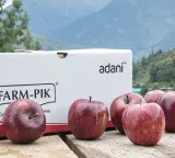 After Apple, Adani Agri Fresh to begin cherry procurement in Himachal; peaches and plums next