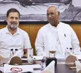 Rahul, Kharge to take final call on Kerala Chief Minister