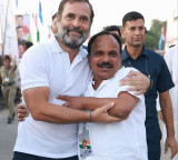 Rahul Gandhi expresses grief over Karnataka Minister Sudhakar's demise, calls him 'torchbearer of Congress ideology'