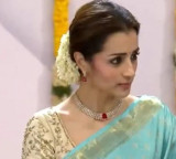 'Show stealer': Co-star Trisha in spotlight at TN swearing in ceremony as Vijay's wife, kids absent
