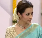 'Show stealer': Co-star Trisha in spotlight at TN swearing in ceremony as Vijay's wife, kids absent