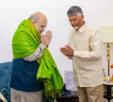Andhra Pradesh CM to meet Amit Shah, discuss state-related projects
