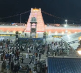 Tirumala Heavy Rush Queue Lines Extend to Krishna Teja Guest House