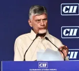 Chandrababu Naidu backs PM Modi’s appeal to save forex