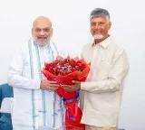 Chandrababu Naidu meets HM Amit Shah, seeks funds for Andhra Pradesh