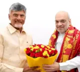 Chandrababu Naidu Meets Amit Shah in Delhi
