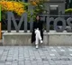 Chetna Singh Hyderabad to Seattle Microsoft Techies Joy