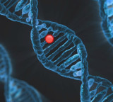 Y Chromosome Disappearance What Happens to Men