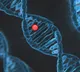 Y Chromosome Disappearance What Happens to Men