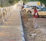 Mysore Corporation Innovative Idea Fails to Stop Public Urination