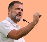 Rahul Gandhi Reacts to NEET Exam Leak