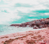 Bermuda Pink Sand Mystery Solved New Geological Discovery