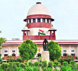 Supreme Court Be Tolerant with Young Lawyers