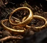 Denmark Discovers Massive Viking Era Gold Treasure