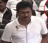 Udhayanidhi Stalin Says DMK Can Advise CM Vijay Government