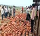 Six killed as temple wall collapses in Sangli amid heavy rain; PM Modi expressed grief
