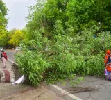 Thunderstorm, heavy rain claim 89 lives in UP; CM Yogi orders immediate relief