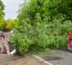 Thunderstorm, heavy rain claim 89 lives in UP; CM Yogi orders immediate relief