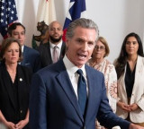 California Governor appoints Indian American to Structural Pest Control Board