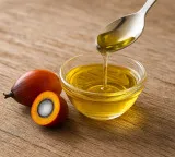 Palm oil shouldn't be defamed without evidence: Experts