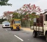 Telangana Police Escort Gas Cylinders in Pedda Mupparam Village
