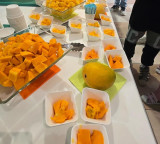 US: Anxious wait ends as Indian mangoes arrive in Seattle stores