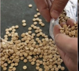 Captagon Jihadi Drug Seized in India First Time