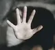 Unable To Pay Rs 2000 Rent Gujarat Man Lets Landlord Rape Wife Daughter