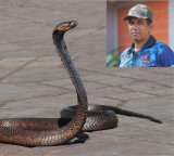 Charlie Varghese The Pastor Who Rescues Snakes and Fights Fires in Kerala
