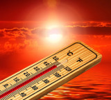 Andhra Pradesh Telangana Heatwave IMD issues heatwave warning for six days