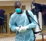 WHO Declares Global Health Emergency Over Ebola Outbreak