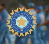 BCCI Not Government Body Says Central Information Commission